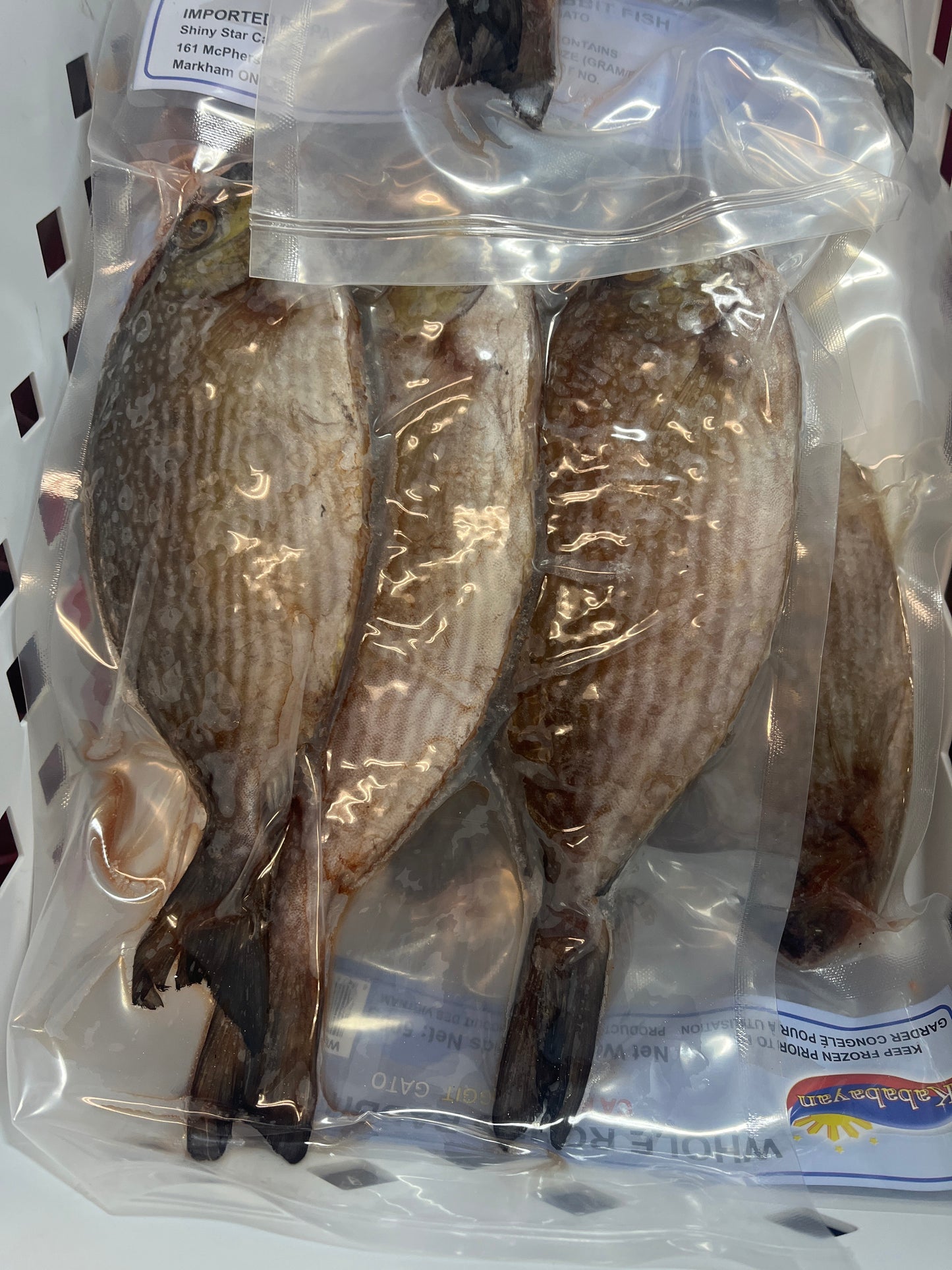 Whole Rabbit Fish (Danggit)