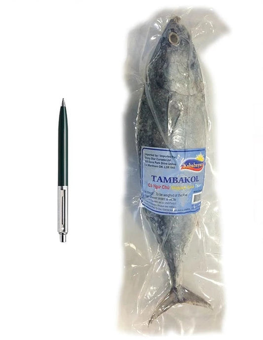 Skipkack Tuna - TAMBAKOL